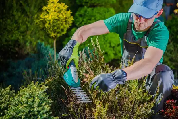 landscaping services Van Buren